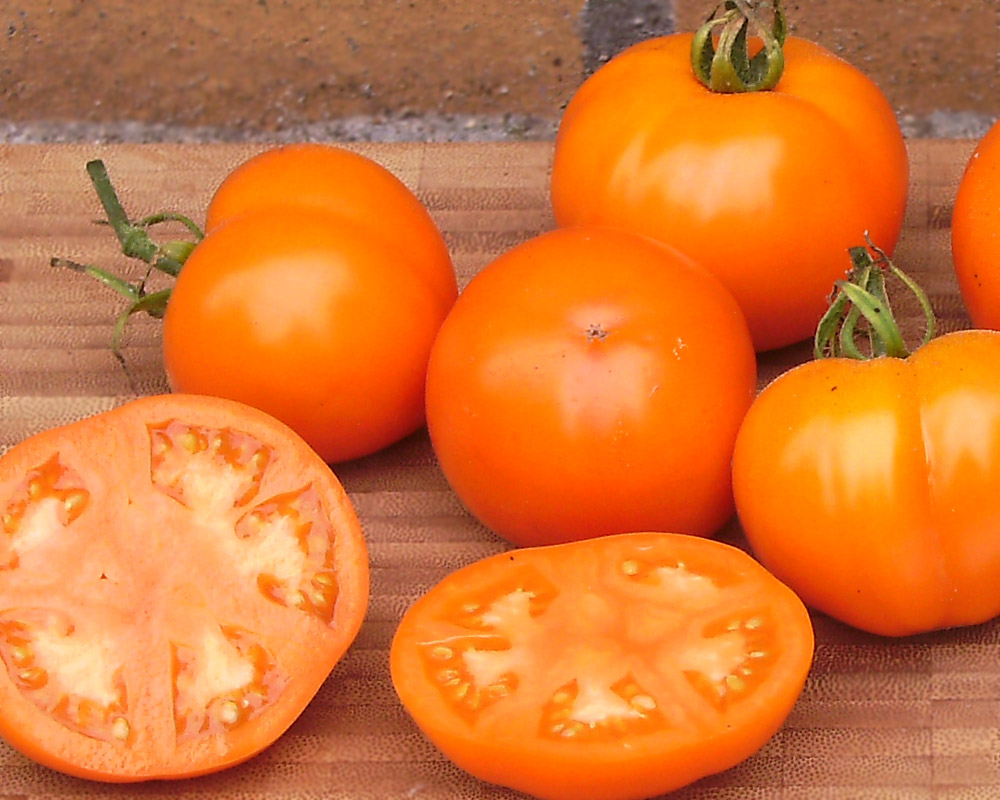 Alte Tomatensorten "Tangerine"